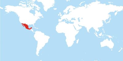 Карта Мексікі глабальнай